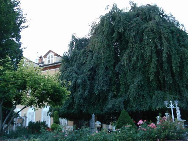 Park Hotel Villa Salzea Trofarello Kültér fotó