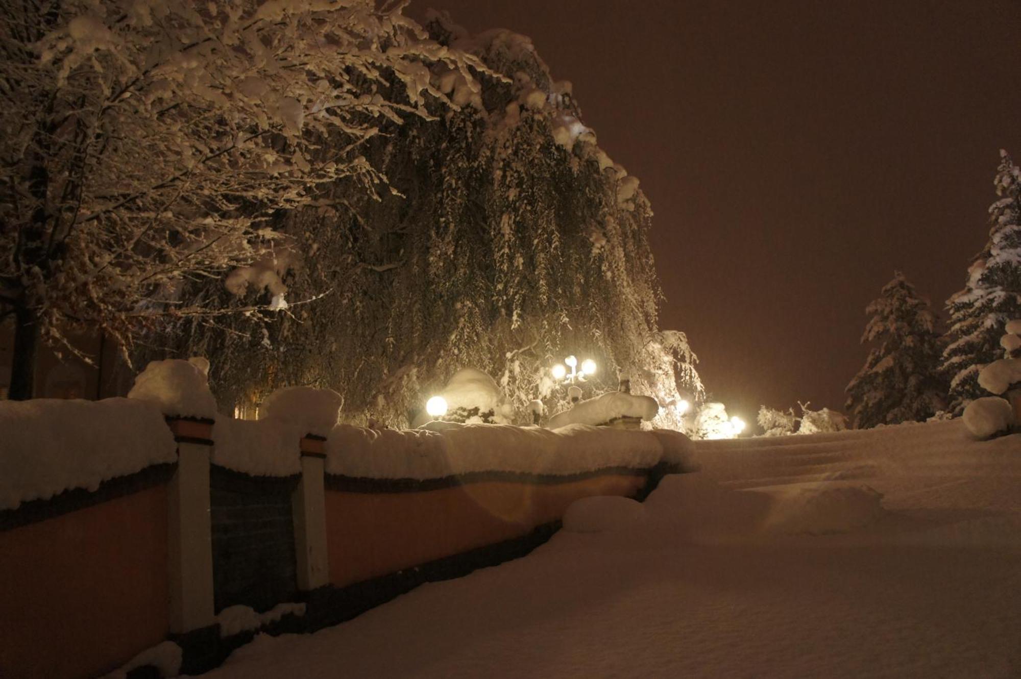 Park Hotel Villa Salzea Trofarello Kültér fotó